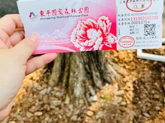 -东平国家森林公园