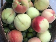 -仙海旅游度假区