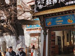 -古树酸奶(八廓南街店)