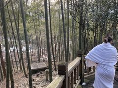 -江南天池高山汤泉城