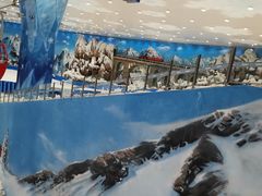 -长沙湘江冰雪世界