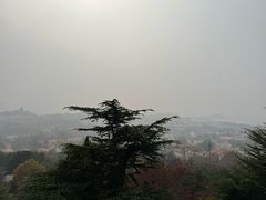 -信号山公园