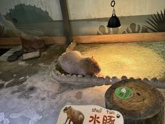 -太阳岛度假酒店