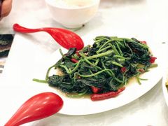 -廖老妈蹄花店(人民公园陕西街259号店)
