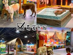 -顺德南宏海立方海洋公园