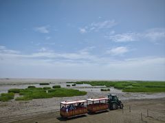 -启东黄金海滩景区