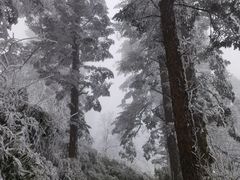 -峨眉山风景名胜区