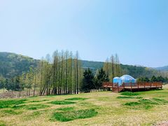 -棒棰岛宾馆景区