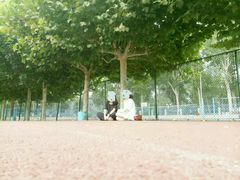 -山东大学(洪家楼校区)
