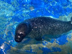 -太平洋海底世界