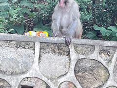 -黔灵山公园