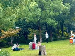 -重庆彩云湖湿地公园