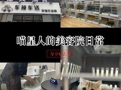 -车接车送·寄养洗护·德文猫舍(大宁店)