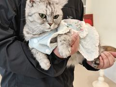 -共舞时光猫咖·狗咖(新街口店)