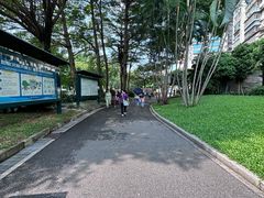 -晓港公园