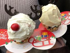 -野人先生现做冰淇淋(西安赛格店)