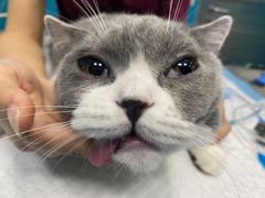 -爱诺耐芙动物医院(万博店)