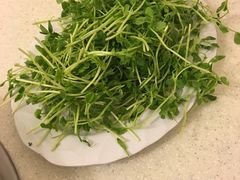 -八先生涮肉房(三里河店)
