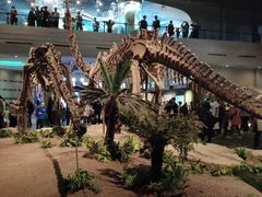 -自贡恐龙博物馆