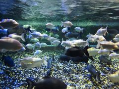 -成都浩海立方海洋公园