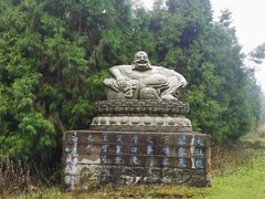 -武陵山森林公园