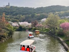 -苏州上方山国家森林公园