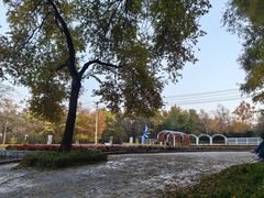 -黑龙江省森林植物园
