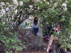 -大龙山(地铁站)