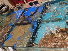 -映像威海·海鲜味道(经区店)