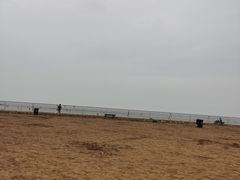 -奉贤海滩