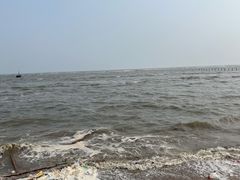 -刘家湾赶海园