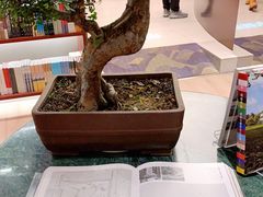 -二酉书店TOYOU BOOKS