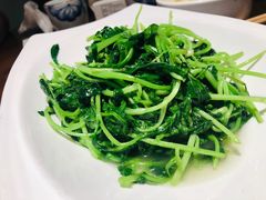 -燕郊烧鸽子(广安路店)