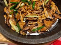 橄榄油炒三种菇-西贝莜面村(近铁城市广场店)