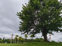 -眉山湿地公园(东坡区)