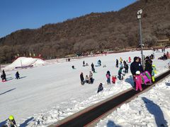 -东北亚滑雪场