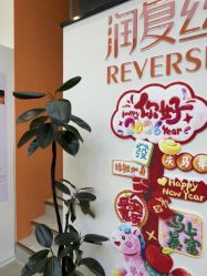 -润复丝·泽发防脱头皮管理