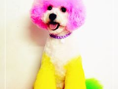 DSC_1794-可爱是宠物(容辰庄园店)