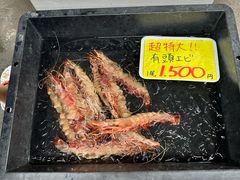 -南纪白浜Toretore市场
