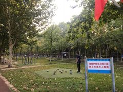 -南京奥林匹克体育中心-体育馆