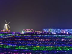 -大塘金香草谷