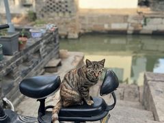 -锦溪古镇