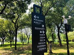 -龙寺生态园