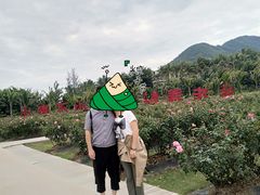 -亚龙湾国际玫瑰谷