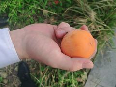 -木守西溪溪隐餐厅