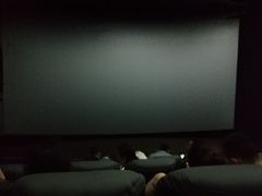 -幸福蓝海国际影城(烟台大悦城IMAX店)