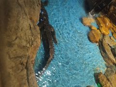 -多彩贵州城极地海洋世界