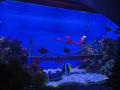 -太平洋海底世界