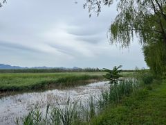 -野鸭湖国家湿地公园