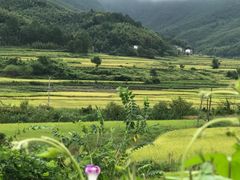 -水墨汀溪风景区